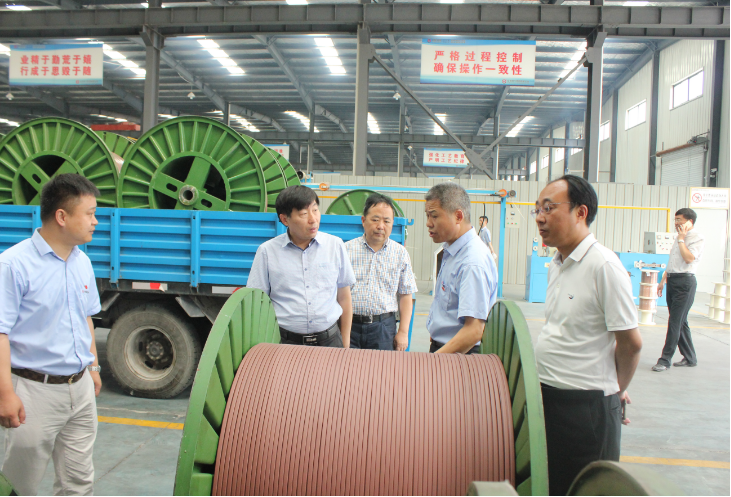 市委副書記賀家平蒞臨安邦視察調(diào)研(圖1) 市委副書記賀家平蒞臨安邦視察調(diào)研(圖1)